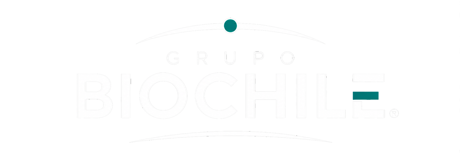 Grupo BioChile